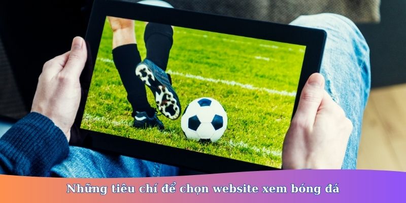 website xem bóng đá
