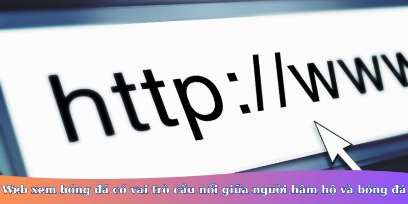 Web xem bóng đá
